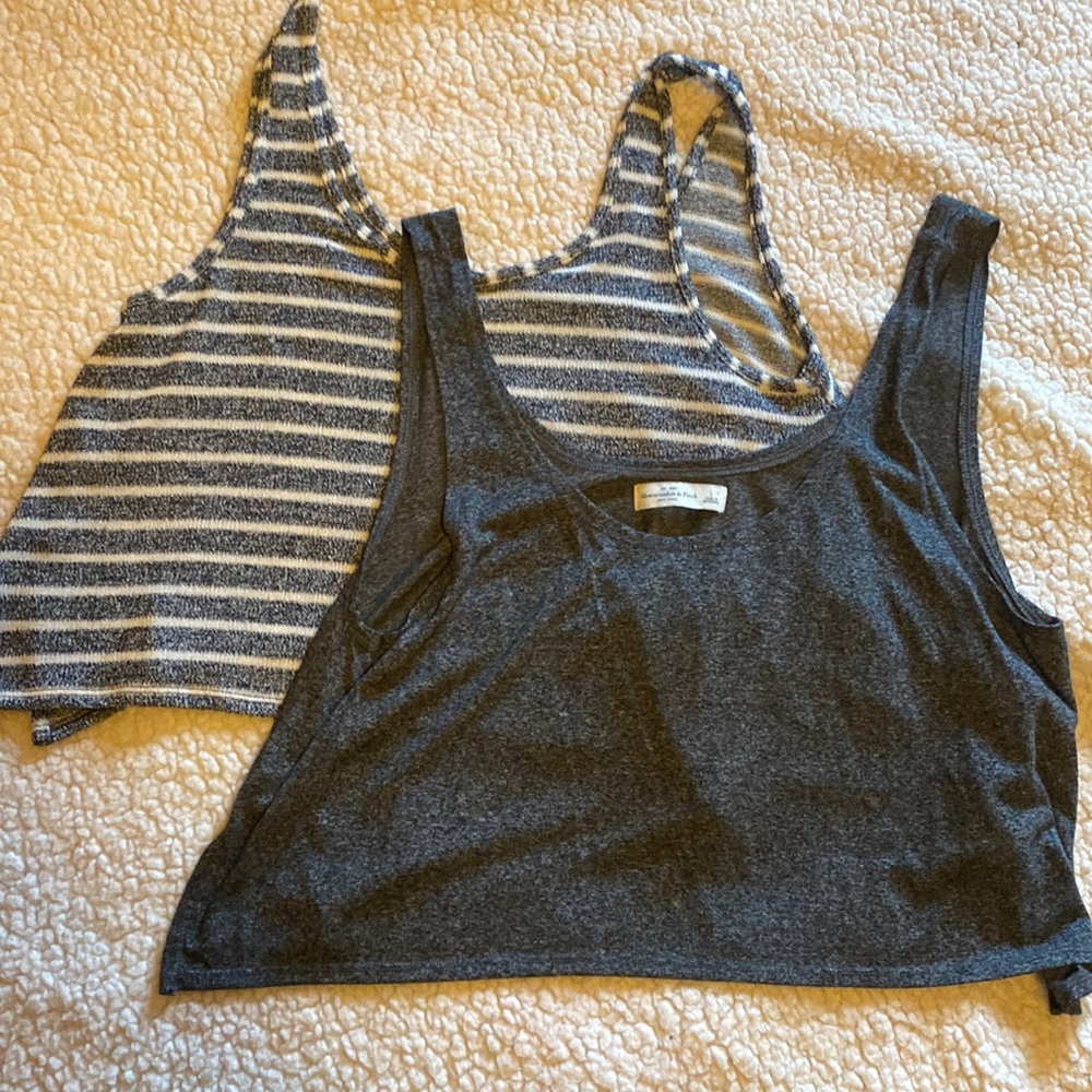 (2) Abercrombie & Fitch loose crop tanks